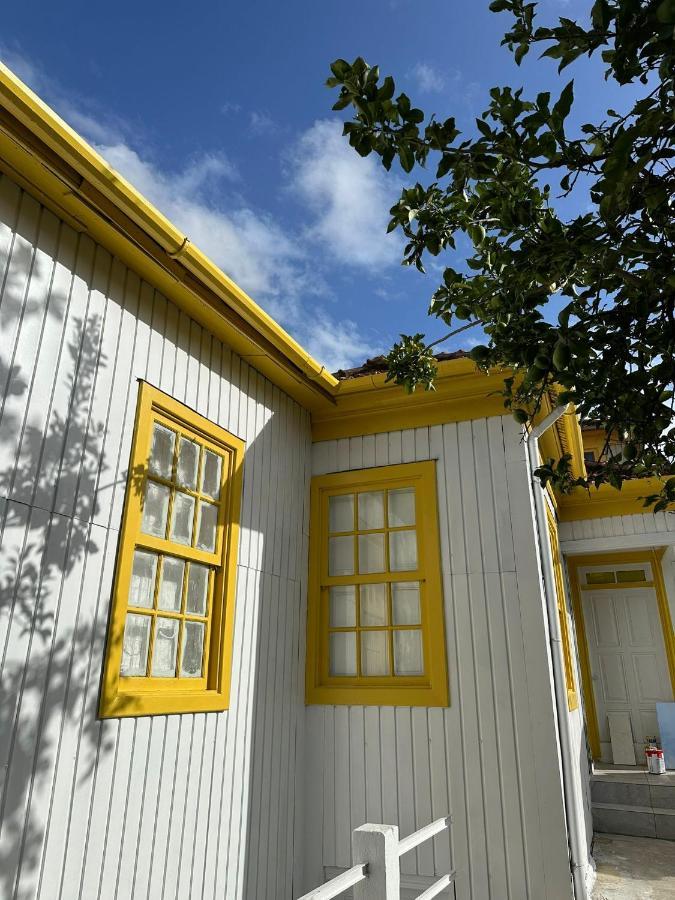 Owls Hostel Ildefonso OOporto Exteriör bild